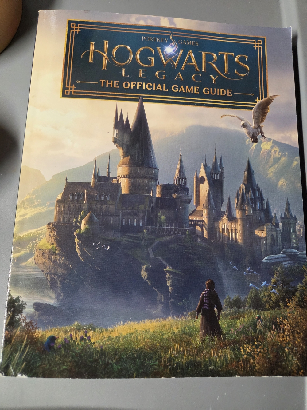 Hogwarts Legacy Game Guide Book